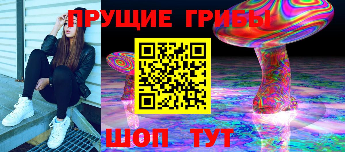 Галлюциногенные грибы MAGIC MUSHROOMS  Вход с VPN  где продают   Бердск  Псилоцибиновые грибы MAGIC MUSHROOMS 